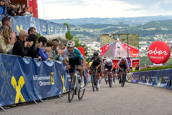Sieger 1. Etappe Lorenzo Galimberti (ITA, Petrolike) 1. Etappe Linz - Pöstlingberg, 15. Int. Raiffeisen OÖ-Radrundfahrt UCI Kat. 2.2