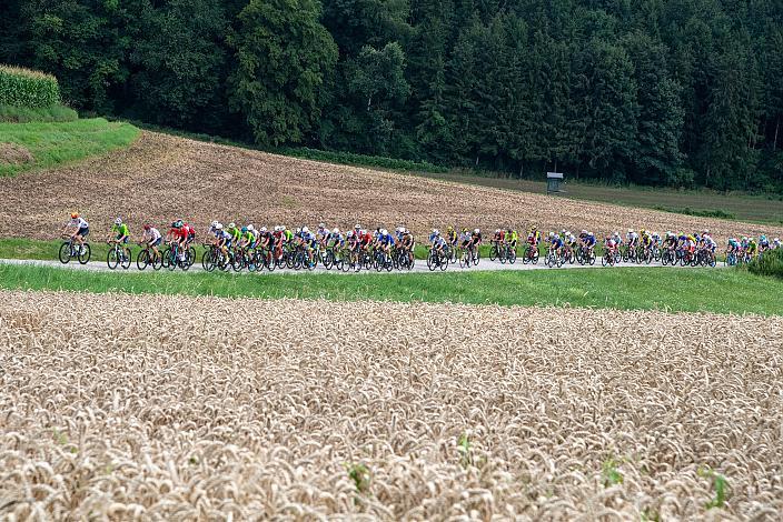 50. OÖ Junioren Rundfahrt, 3. Etappe Bad Wimsbach Strass im Attergau