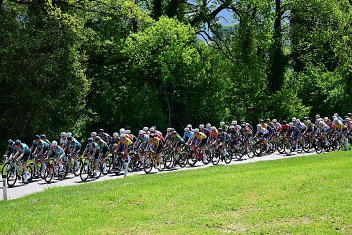 Herren Elite, U23, Road Cyling League Austria, Radliga, GP Vorarlberg, Nenzing