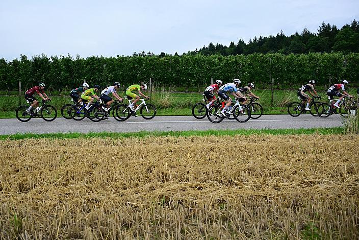 Das Peloton am Mistelbacherberg, 50. OÖ Junioren Rundfahrt, 1. Etappe Marchtrenk - Marchtrenk