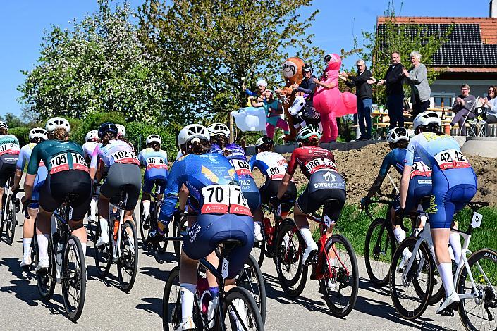 Damen Elite, U23, Road Cycling League Austria, 64. Raika Kirschbluetenrennen, Wels, Oberösterreich