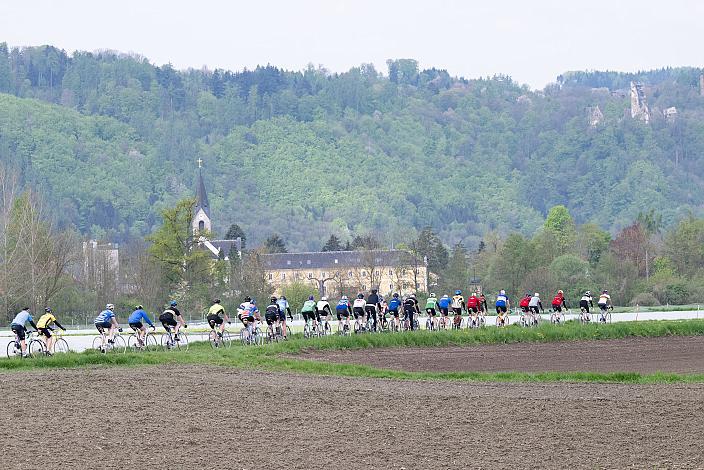 7. Kirschblüten Radklassik, Rad Klassik, Oldtimer, Vintage, Stahlrad, Radsport, Eferding, Oberösterreich