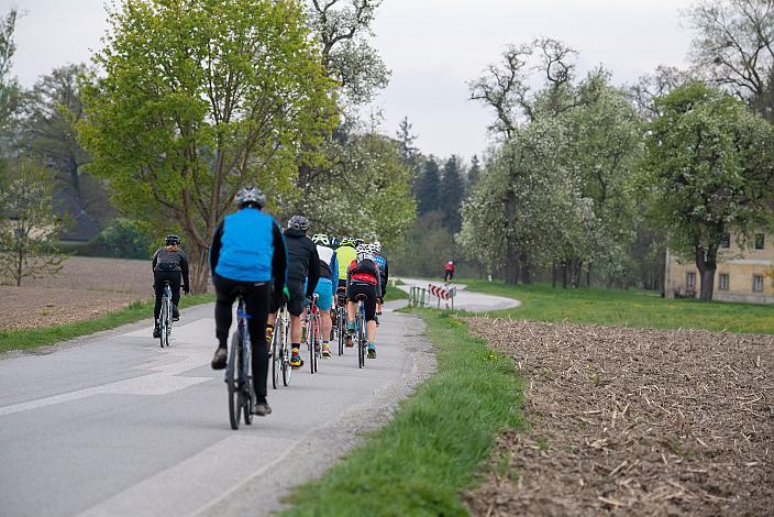 Das Feld bei Inn, Rad Klassik, Oldtimer, Vintage, Stahlrad, Radsport, Eferding, Oberösterreich