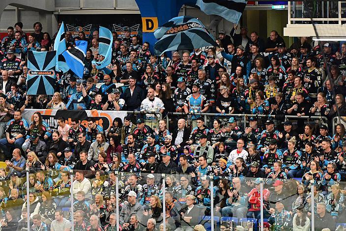 Fans der Steinblach Black Wings 1. Runde ICE, Steinbach Black Wings Linz vs Pioneers Vorarlberg , Linz AG Eisarena 