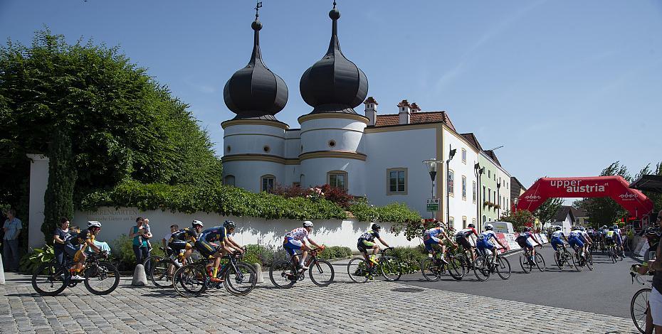  Das Feld bei Stift Reichersberg 1. Etappe Wels - Stift Reichersberg, Radsport 10. Int. OOE Rundfahrt  