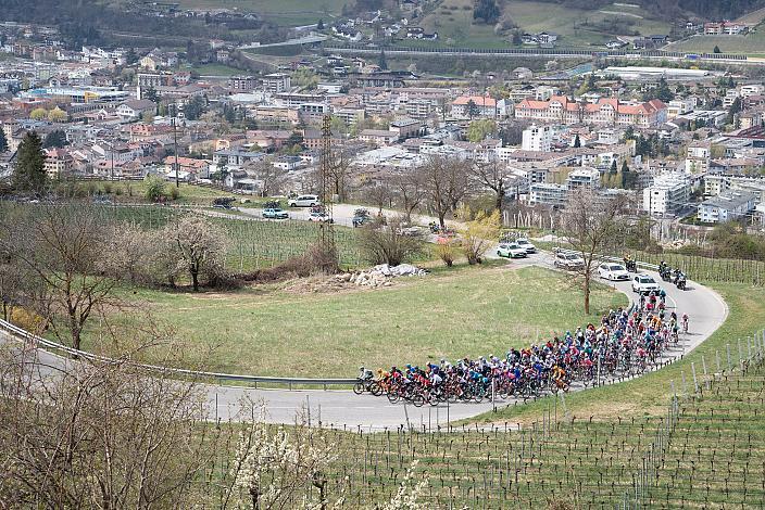 Das Peleton klettert nach Natz bei Brixen, Südtirol 44th Tour of the Alps, 1. Etappe Brixen - Innsbruck 140,6km, UCI Pro Series