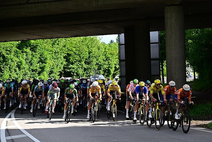 Das Peloton unterwegs im Traunviertel  3. Etappe Asten - Bad Schallerbach, Oberösterreich Rundfahrt