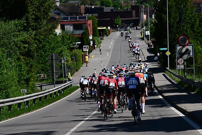 Herren Elite, U23, Road Cyling League Austria, Radliga, GP Vorarlberg, Nenzing