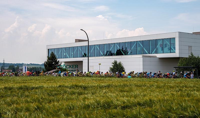 Das Feld am Start in Eferding 2. Etappe Eferding - Oberneukirchen, Int. Raiffeisen Oberösterreich Rundfahrt UCI Kat. 2.2