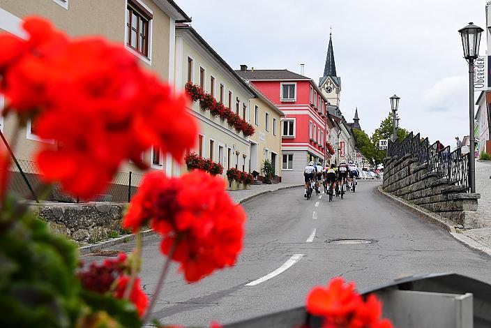 RCLA Herren Elite, U23, Road Cycling League Austria, Königswiesen