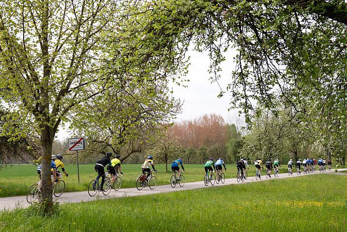 7. Kirschblüten Radklassik, Rad Klassik, Oldtimer, Vintage, Stahlrad, Radsport, Eferding, Oberösterreich