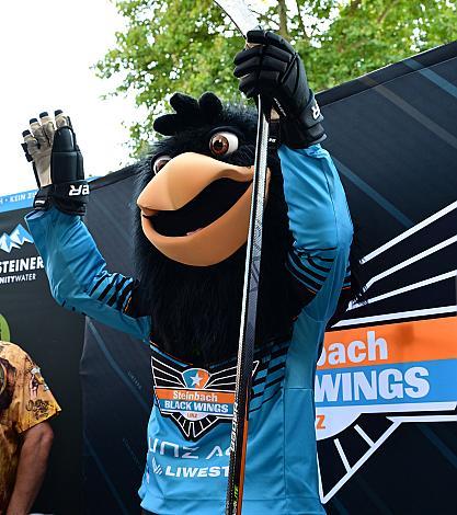 Gonzo im neuen Trikot, Team und Trikotpräsentation, Steinbach Black Wings Linz , Linz AG Eisarena