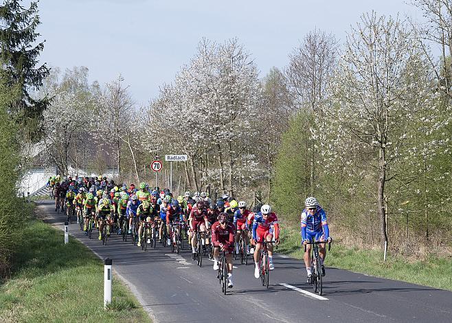 Das Feld 58. Internationales Kirschbluetenrennen, Wels