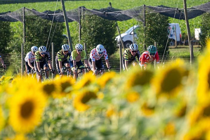 Die Ausreisser mit 3. Platz Benjamin Eckerstorfer (AUT, Team Österreich), Viggo Moore (USA, Lux/CTS p/b Specialized) Etappensieger, 2. Platz Frank Aron Ragilo (EST, Cannibal Team), 1B Etappe Int. "Keine Sorgen" Junioren Rundfahrt UCI Kat. 2.1 MJ
