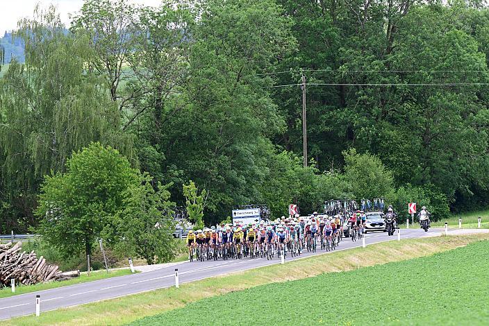 Das Peloton unterwegs im Innviertel, 2. Etappe Eferding - Reichersberg, Oberösterreich Rundfahrt