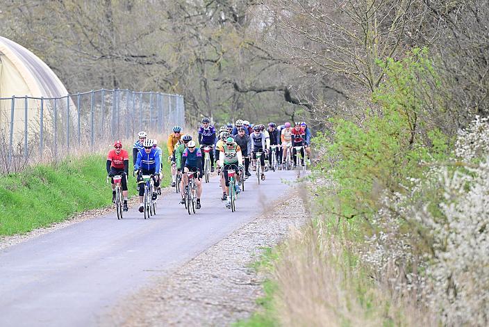 10. Kirschblüten Radklassik, Rad Klassik, Oldtimer, Vintage, Stahlrad, Radsport, Eferding, Oberösterreich