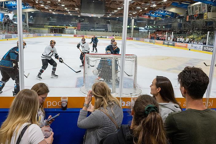 Steinbach Black Wings Linz Steinbach Black Wings Linz, Linz AG Eisarena 