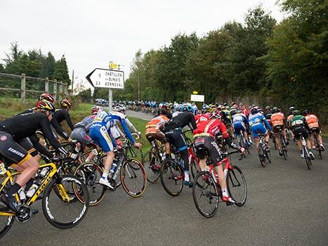 das Feld, Radrennen, Paris - Tours