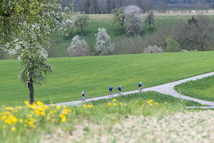 7. Kirschblüten Radklassik, Rad Klassik, Oldtimer, Vintage, Stahlrad, Radsport, Eferding, Oberösterreich