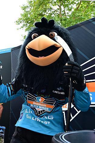 Gonzo im neuen Trikot, Team und Trikotpräsentation, Steinbach Black Wings Linz , Linz AG Eisarena