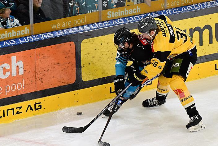 Shawn St.Amant (Steinbach Black Wings Linz), Austin Osmanski (HC Pustertal Wölfe), 19. Runde ICE, Steinbach Black Wings Linz vs HC Pustertal Wölfe, Linz AG Eisarena 