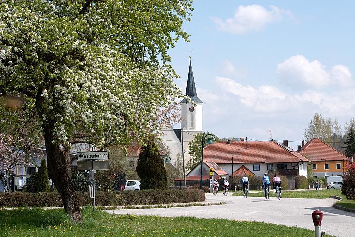 St. Thomas, Rad Klassik, Oldtimer, Vintage, Stahlrad, Radsport, Eferding, Oberösterreich