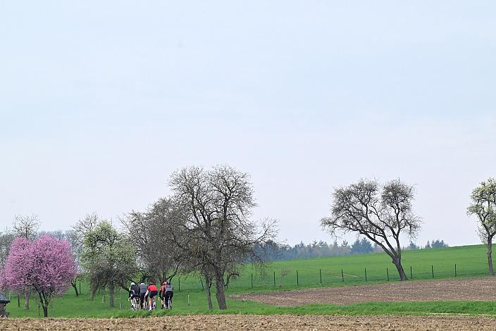10. Kirschblüten Radklassik, Rad Klassik, Oldtimer, Vintage, Stahlrad, Radsport, Eferding, Oberösterreich