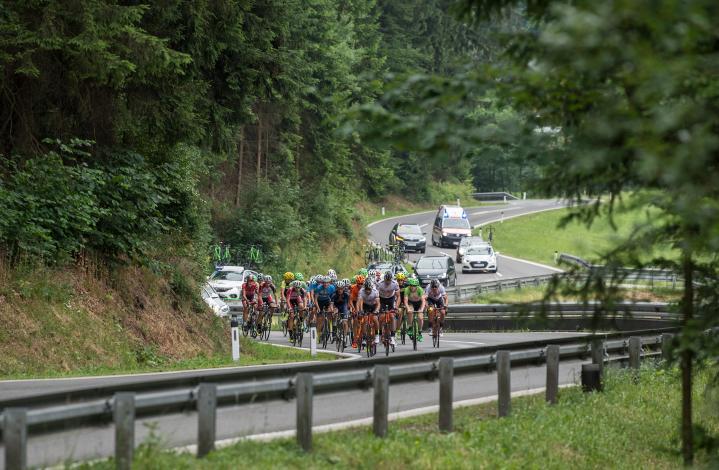 Das Feld am Weg nach Dimbach Rad Staatsmeisterschaft, Elite Herren, Grein an der Donau