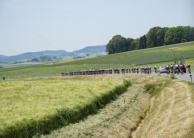 Das Feld der Fahrer im Innviertel  1. Etappe Wels - Stift Reichersberg, Radsport 10. Int. OOE Rundfahrt