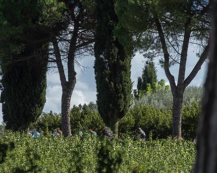 Rad Memorial Marco Pantani, Cesenatico, Italien