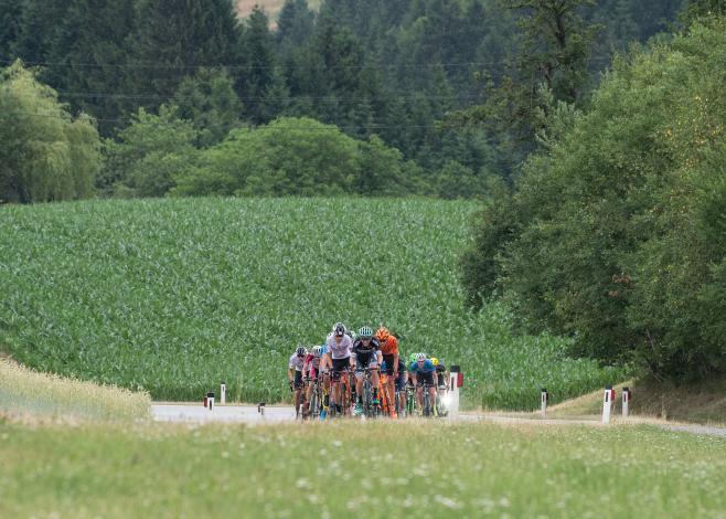 Das Feld am Weg nach Bad Kreuzen Rad Staatsmeisterschaft, Elite Herren, Grein an der Donau