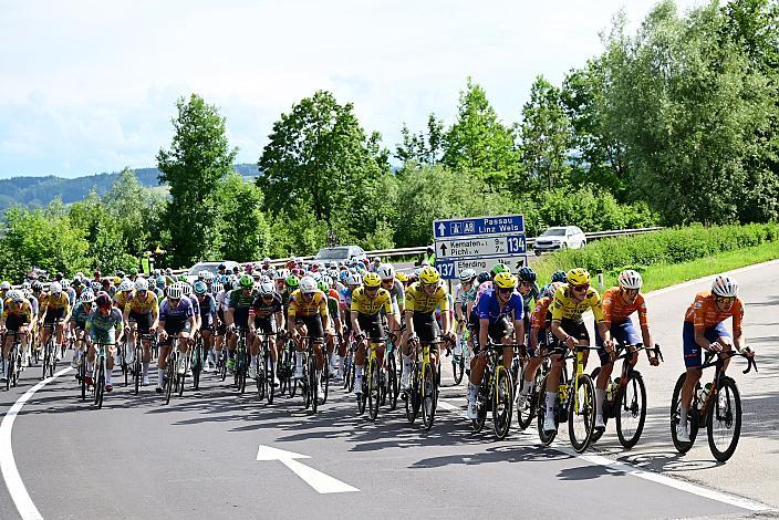 Das Peloton unterwegs im Traunviertel  3. Etappe Asten - Bad Schallerbach, Oberösterreich Rundfahrt