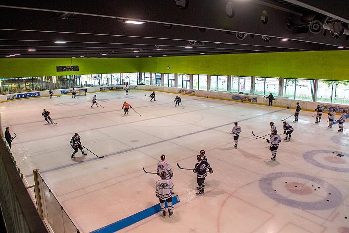 Steinbach Black Wings Linz, Eishockey, Bet at Home ICE Hockey League