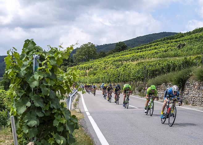 Das Feld in der Wachau, Andreas Hofer (AUT, Hrinkow Advarics Cycleang Team), Lukas Malgay (GER, Hrinkow Advarics Cycleang) 2. Etappe, Zwettl - Wr. Neustadt, 71. Ã–sterreich Rundfahrt, Tour of Austria (UCI 2.1)