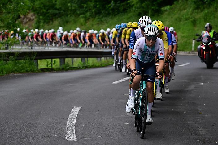 Das Peloton unterwegs im Mühlviertel 4. Etappe Aigen - Schlägl - Aigen - Schlägl, 16. Int. Oberösterreich Rundfahrt