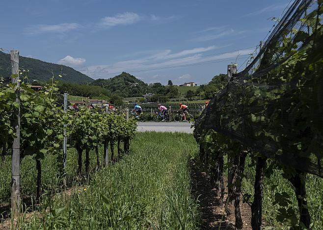 Richard Carapaz (ECU, Movistar Team) Giro, Giro d Italia, Radsport, 102. Giro d Italia - 19. Etappe  