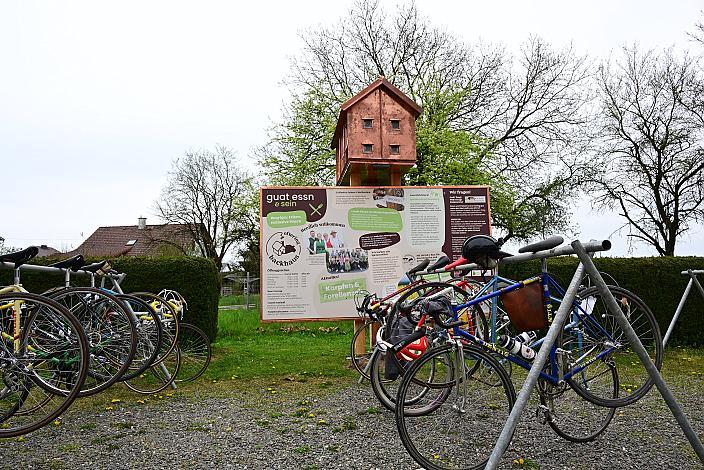 9. Kirschblüten Radklassik, Rad Klassik, Oldtimer, Vintage, Stahlrad, Radsport, Eferding, Oberösterreich