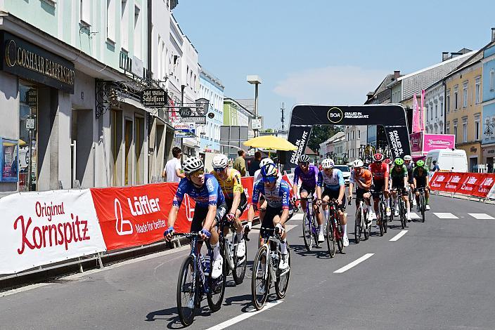 Tobias Bayer (AUT, Alpecin-Premier Tech), Peleoton Herrenrennen, Österreich Staatsmeisterschaft, Strasse, ÖSTM Schwanenstadt - OÖ