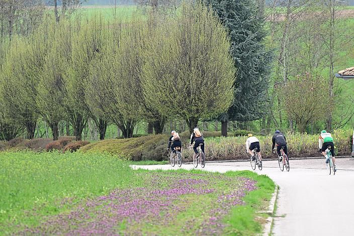 10. Kirschblüten Radklassik, Rad Klassik, Oldtimer, Vintage, Stahlrad, Radsport, Eferding, Oberösterreich