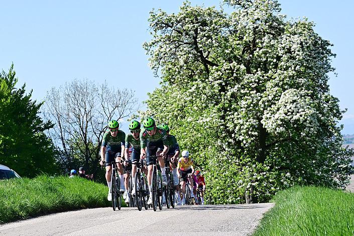 Herren Elite, U23, Road Cycling League Austria, 64. Raika Kirschbluetenrennen, Wels, Oberösterreich