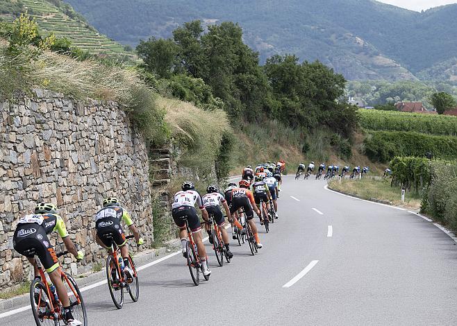 2. Etappe, Zwettl - Wr. Neustadt, 71. Ã–sterreich Rundfahrt, Tour of Austria (UCI 2.1)