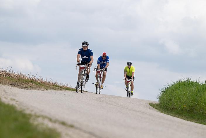 7. Kirschblüten Radklassik, Rad Klassik, Oldtimer, Vintage, Stahlrad, Radsport, Eferding, Oberösterreich