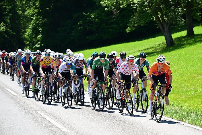 Marvin Hammerschmid (AUT, Cycling Team Schwingshandl), Josef Dirnbauer (AUT, Cycling Team Schwingshandl) im Bergtrikot 3. Etappe Bad Schallerbach - Aigen - Schlägl, 15. Int. Raiffeisen OÖ-Radrundfahrt UCI Kat. 2.2