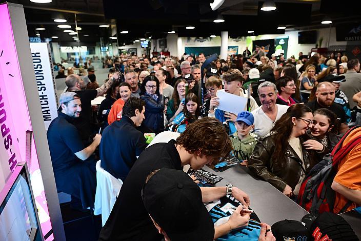 Steinbach Black Wings Linz , VIP Bereich, Linz AG Eisarena 