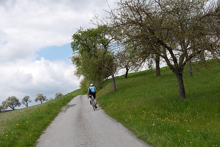 7. Kirschblüten Radklassik, Rad Klassik, Oldtimer, Vintage, Stahlrad, Radsport, Eferding, Oberösterreich