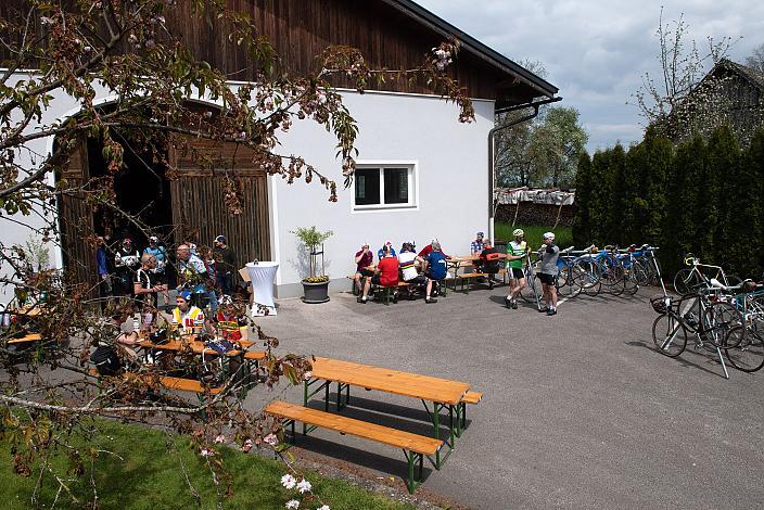 7. Kirschblüten Radklassik, Rad Klassik, Oldtimer, Vintage, Stahlrad, Radsport, Eferding, Oberösterreich