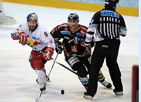 Daniel Oberkofler Liwest Black Wings Linz Thomas Koch EC Red Bull Salzburg