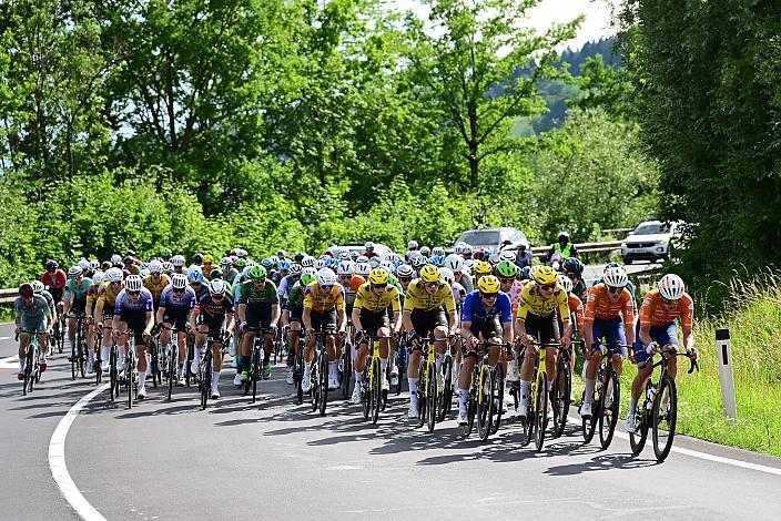 Das Peloton unterwegs im Traunviertel  3. Etappe Asten - Bad Schallerbach, Oberösterreich Rundfahrt