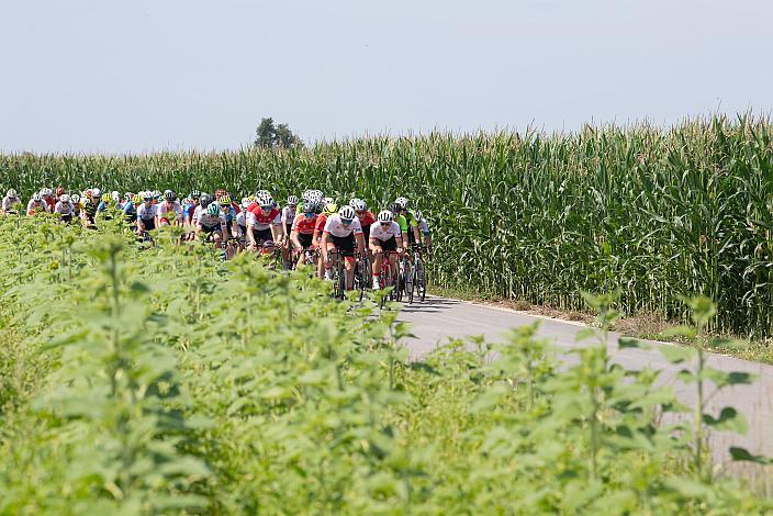 Das Feld bei Bad Wimsbach  46. Int. Keine Sorgen,  Junioren Rundfahrt UCI Kat. MJ 2.1, 3. Etappe Bad Wimsbach/Neydharting - Strass im Attergau