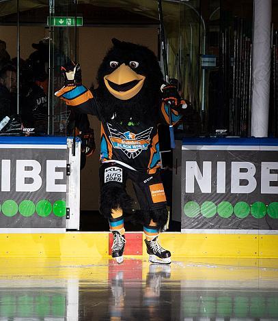 Das Steinbach Blackwings Linz Maskottchen Gonzo Junior Steinbach Black Wings Linz vs HK SZ OLIMPIJA, bet-at-home ICE Hockey League